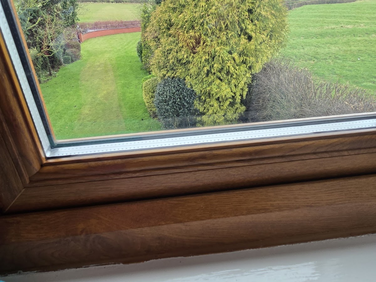 Sparkling clean windows looking out over a bright garden